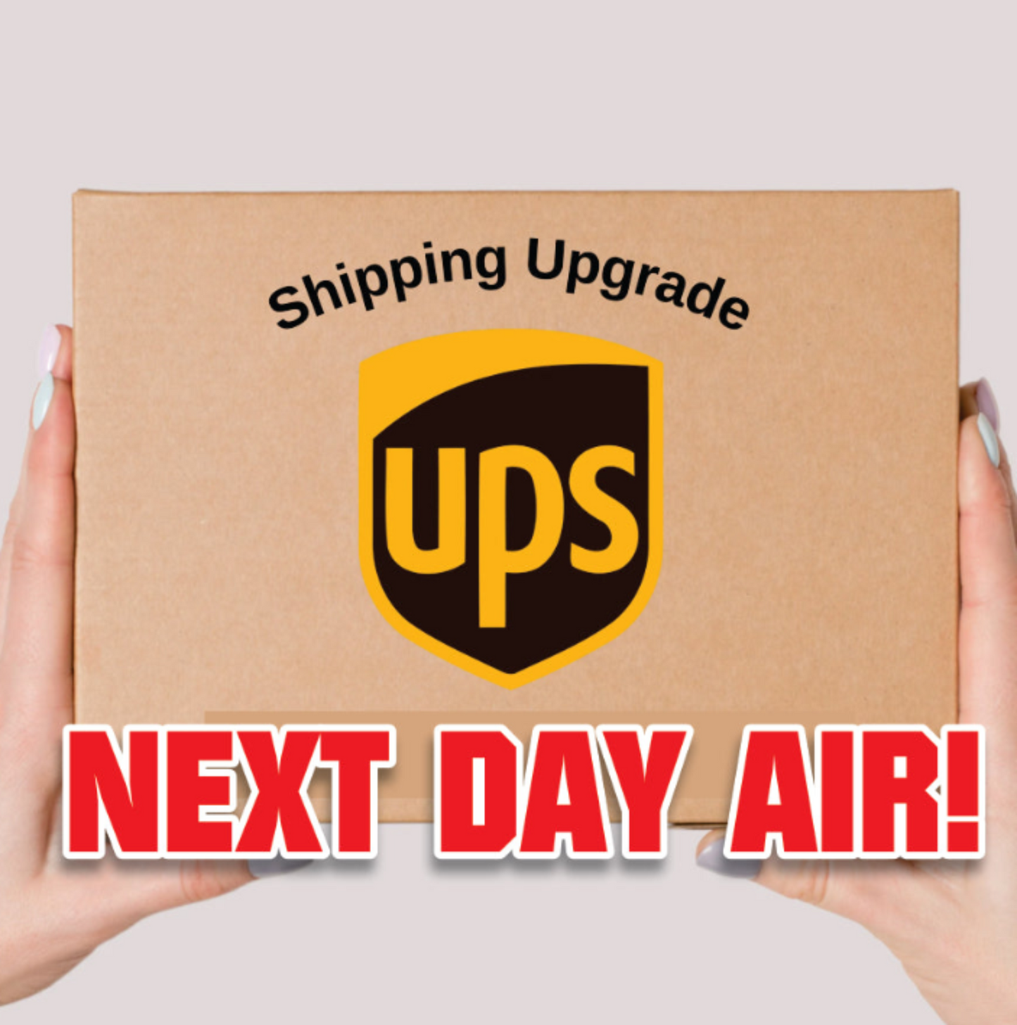 NEXT DAY AIR FLAT RATE